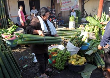 “Berbeda” Tujuh Daerah Siap Gelar Pengucapan Syukur  Serentak