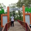 Ini Wisata Hutan Mangrove Yang Wajib Dikunjungi di Desa Mantehage I Bango