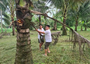 Manfaatkan Waktu Luang Berkebun, OD dan DKL Sharing Kemajuan Daerah dan Partai